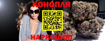 гидра Шелехов