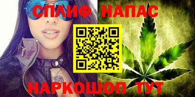 бошки Шахты